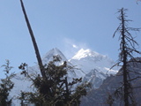 Click to see DSC03309.JPG