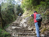 Click to see DSC03967.JPG